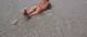 al mare