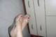 piedi2