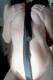 I love Erotika