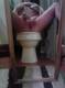in bagno