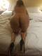 Private Photo of XXX_Sofia