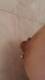 leccamelo