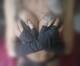 Private Photo of Catwomanx
