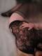 Private Photo of _Elena_