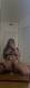 Foto privada de Jillix_