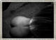 Foto privada de Julya94