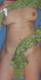 Foto privada de poppeasex