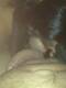 Foto privada de moglie23enne