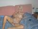 Private Photo of Tutta-viziata
