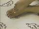 piedi
