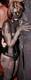 Foto privada de sweet_piglet