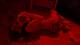 rosso granato...